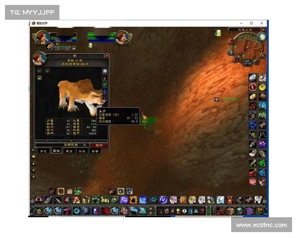 魔兽世界技能栏位置锁定攻略